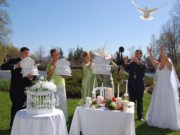 Dove flight