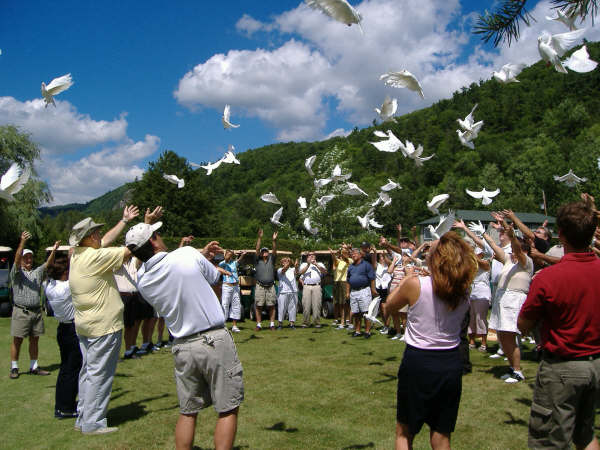 Dove flight